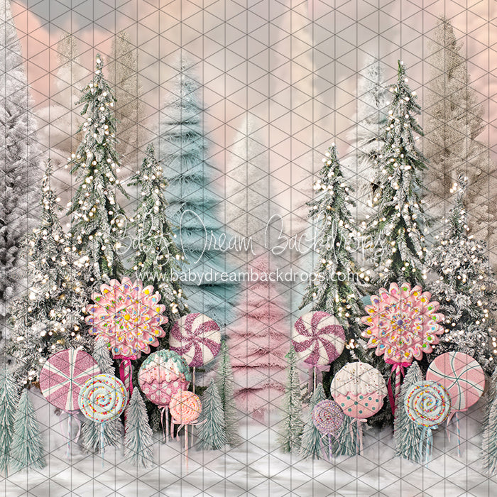 Wonderful Winter Forest (BS)