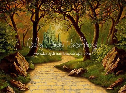 Wonderful Wizard Path