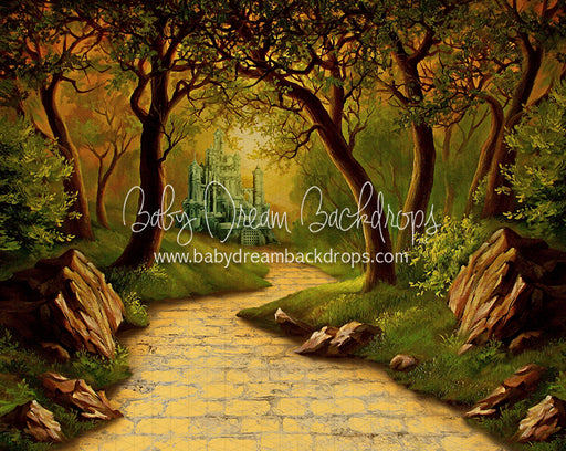 Wonderful Wizard Path