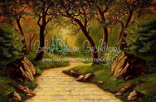 Wonderful Wizard Path