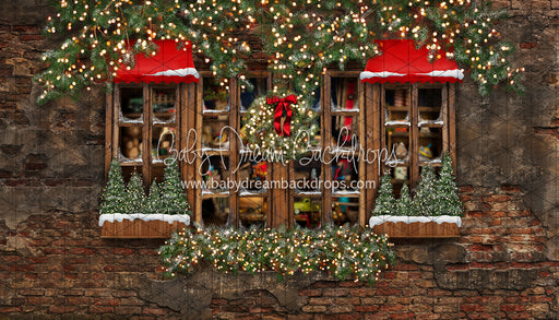 Workshop Wonders Window (JA)