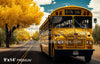 Yellow Schoolbus (SM)