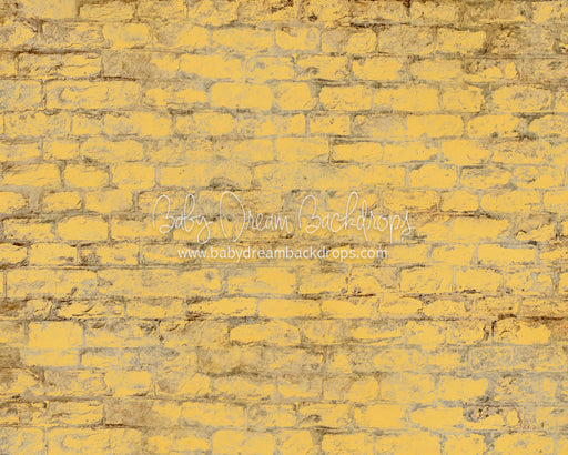 Yellow Brick Road Floor 4x5