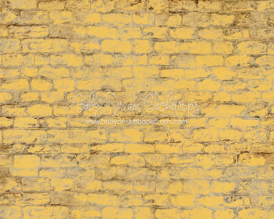 Yellow Brick Road Floor 4x5