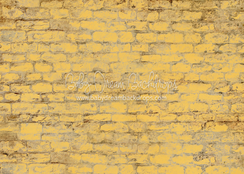 Yellow Brick Road Floor 5x7