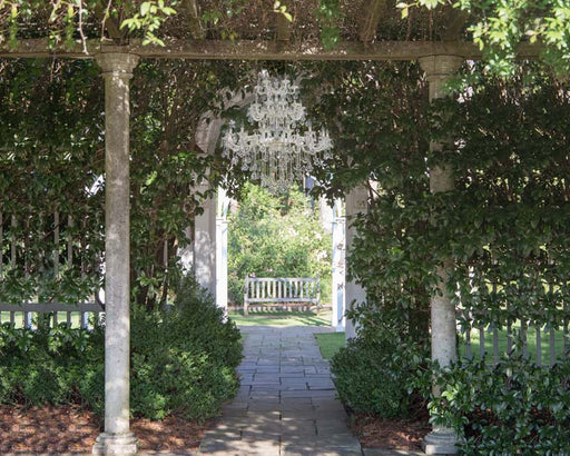 Chandelier Garden - 8x10 