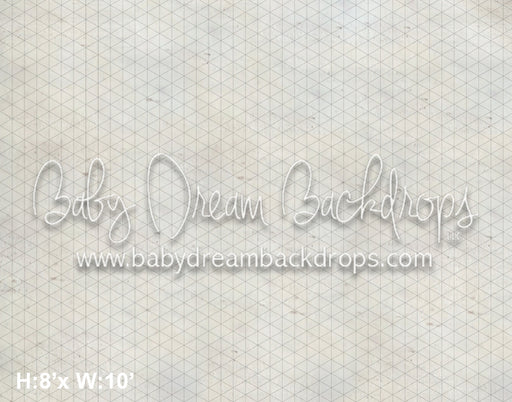 Cherry Blossom Row Road Floor ( LG) 