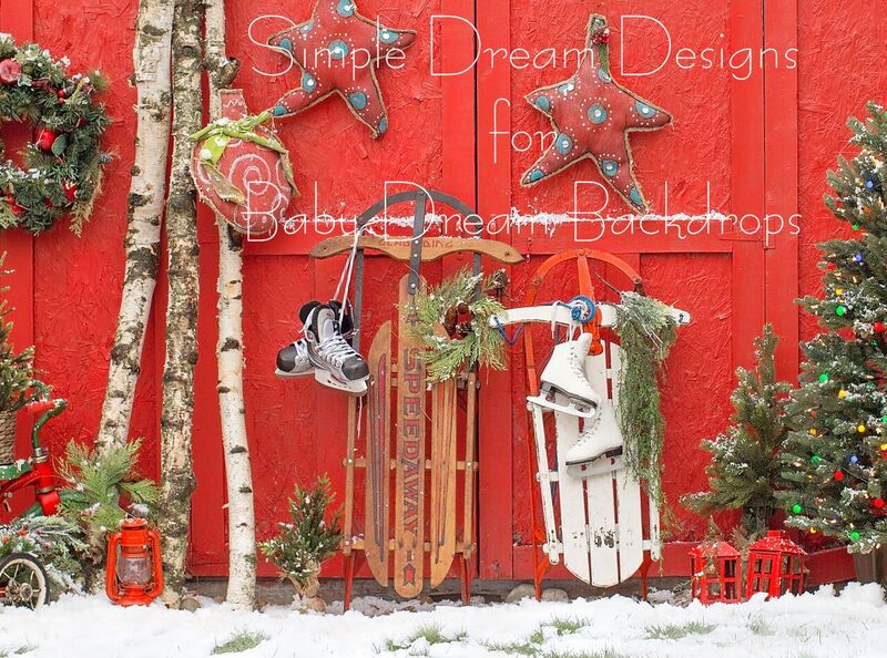 Christmas Birch 60Hx80W SD  