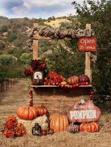 Country Pumpkin Stand - 80x60