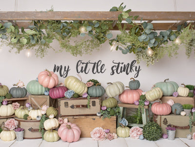 Girly Pumpkins 60hx80w MLS  