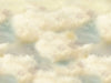 Heavenly Clouds 60Hx80W BD  