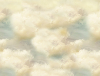 Heavenly Clouds 60Hx80W BD  