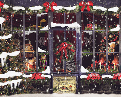 Holiday Shop Snow 8x10 - JM 