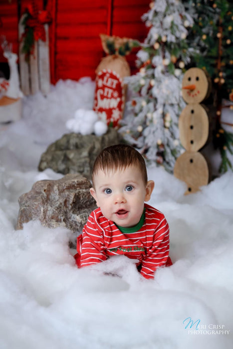 Winter Camper Decorated (Extra Lights)