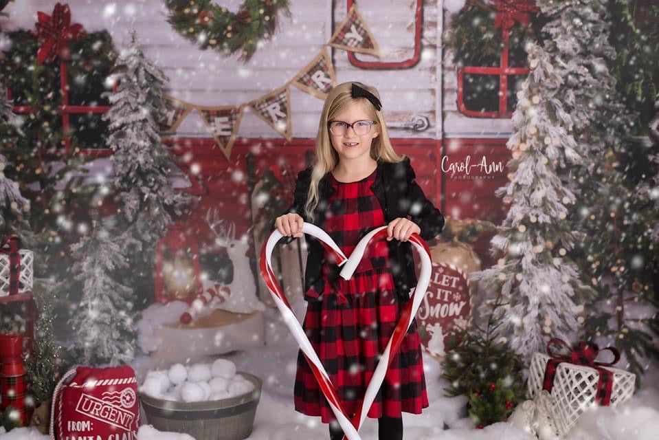 Winter Camper Decorated (Extra Lights)