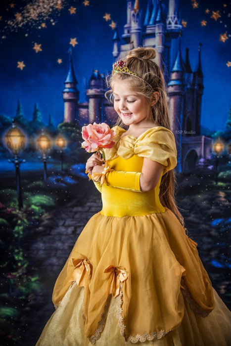 Magical Castle Extra Props