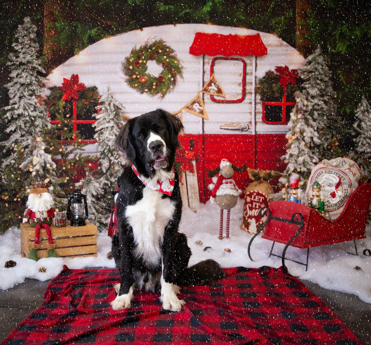 Winter Camper Decorated (Extra Lights)