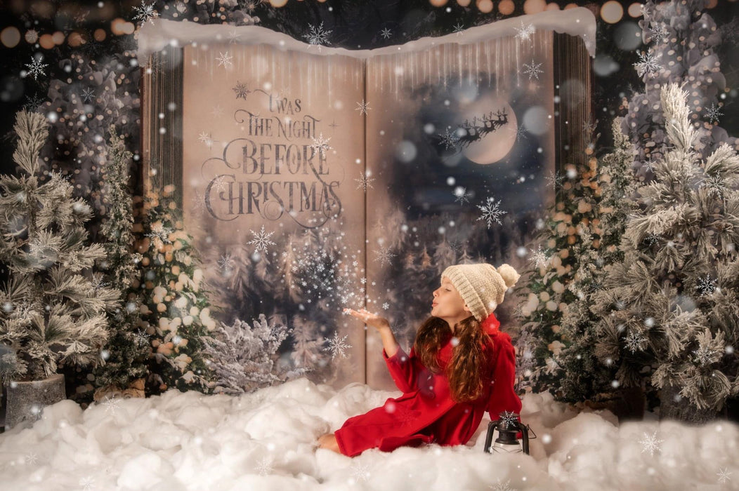 Once Upon a Christmas Santa (JA)