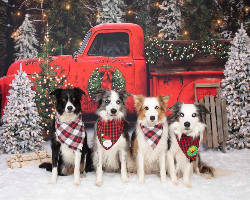 Place in the Pines Truck (Smaller)