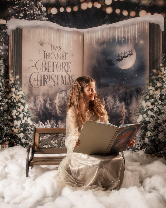 Once Upon a Christmas Santa (JA)