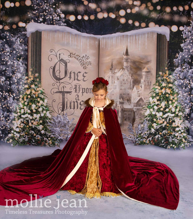 Once Upon a Christmas Castle (JA)