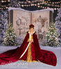 Once Upon a Christmas Castle (JA)