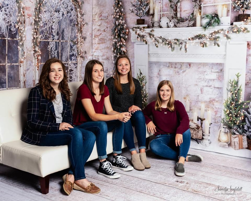 Holiday Dreamer Lights Windows and Mantel Room