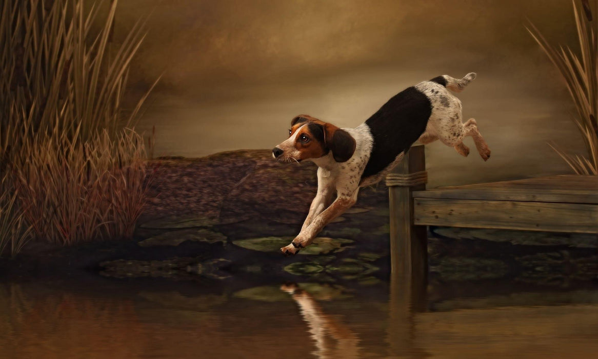 Dreaming of Fishing (JM)