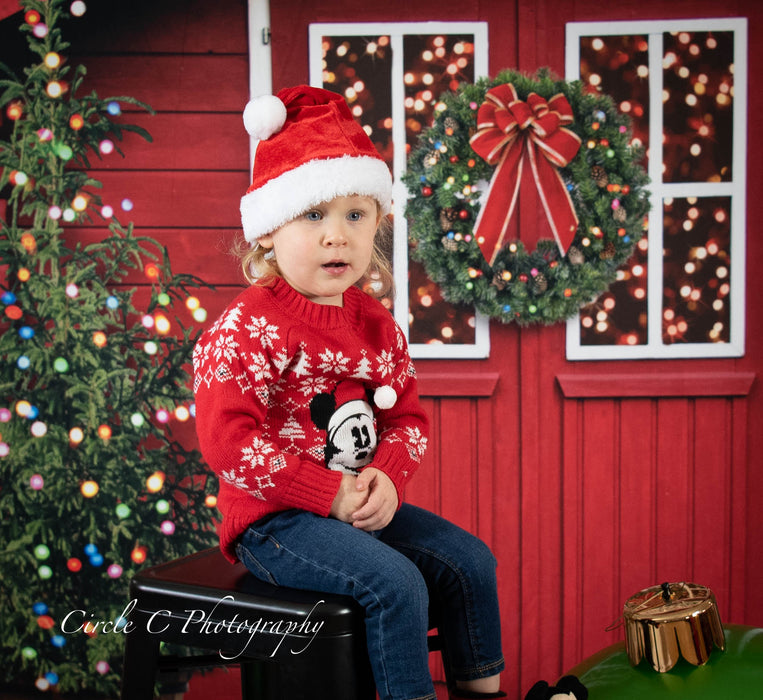 Mistletoe Farms Christmas Trees (Grass)