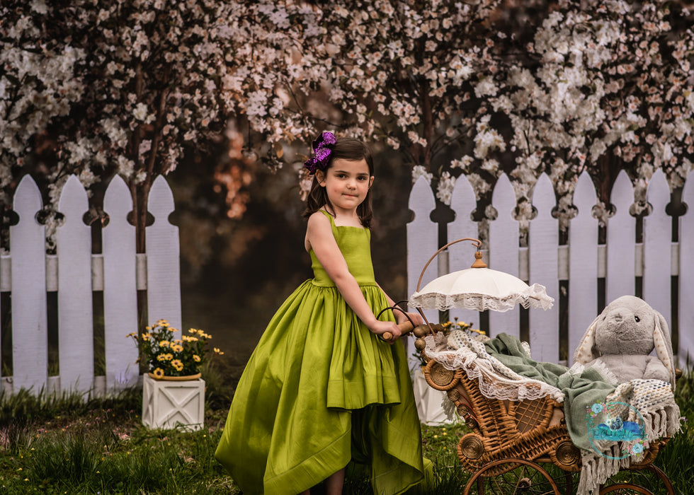 Spring Countryside Fence (JA)