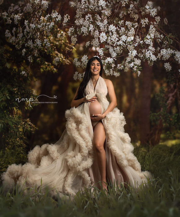 Dreamy Spring Path (CC)