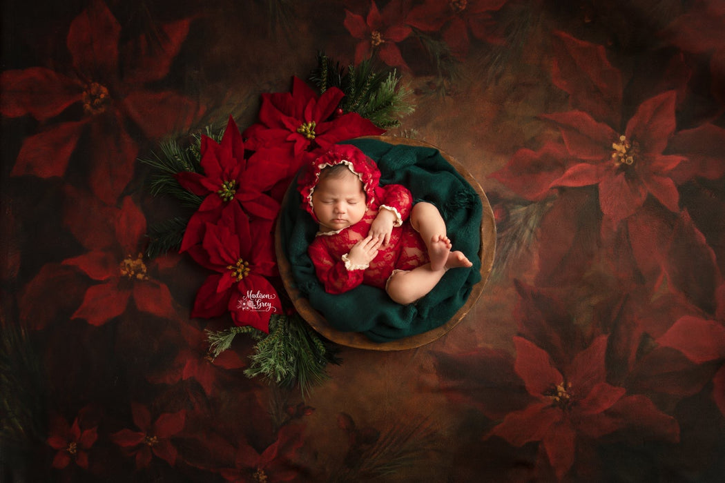 Bitty Heirloom Poinsettia Perfection