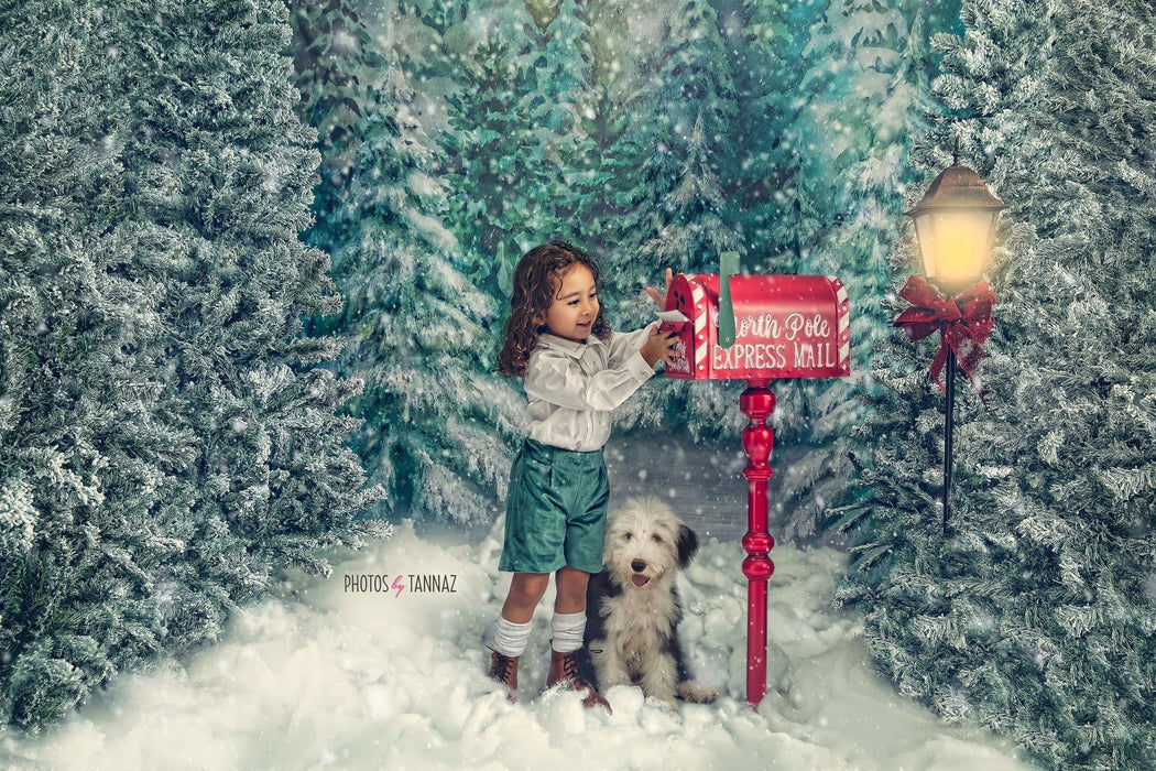 Sweeps Alpine Snow Fall