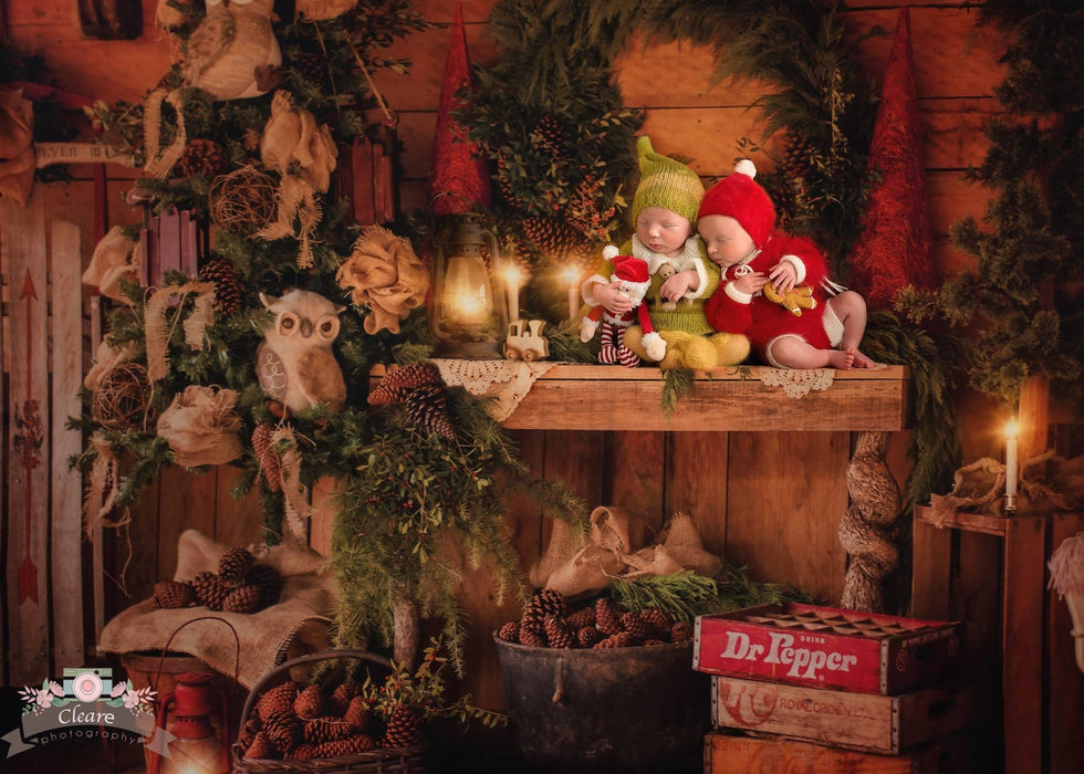 Owl Be Home for Christmas