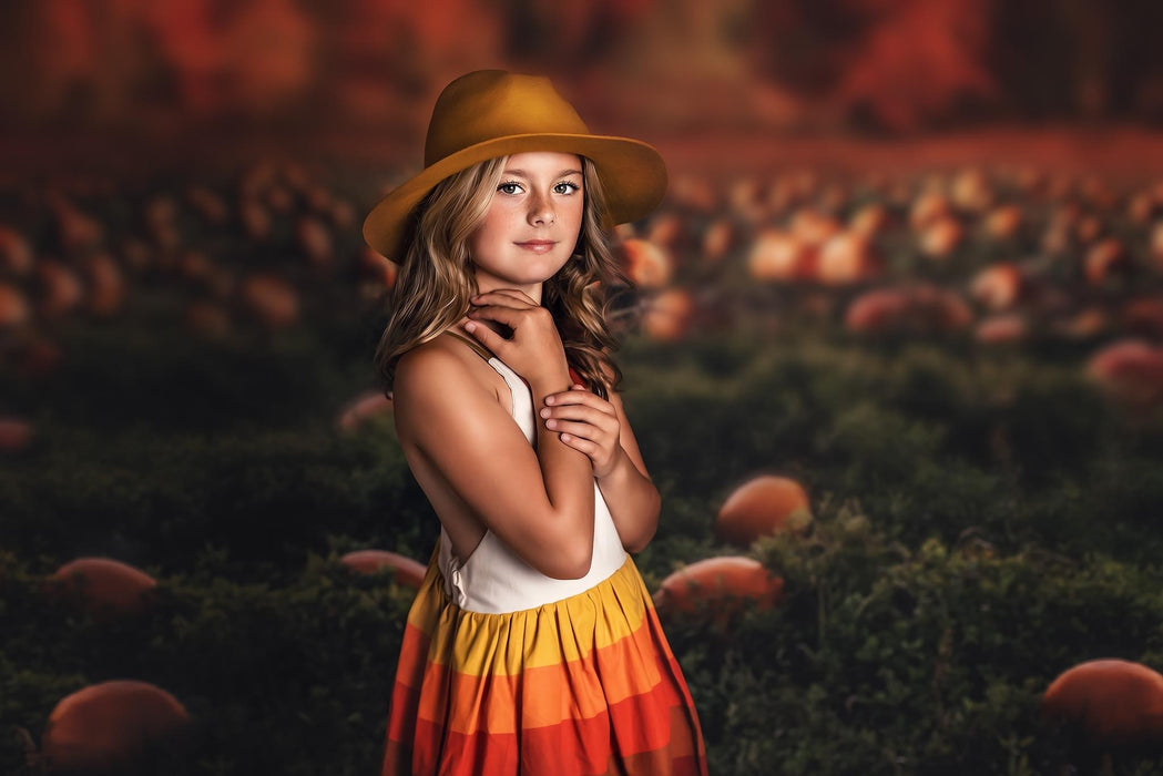 Sweeps Pumpkin Picking Autumn Field