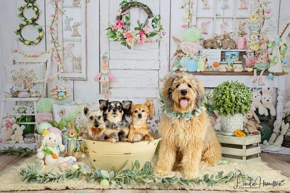 Grandmas Porch Easter Pastel