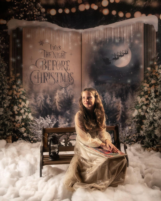 Once Upon a Christmas Santa (JA)