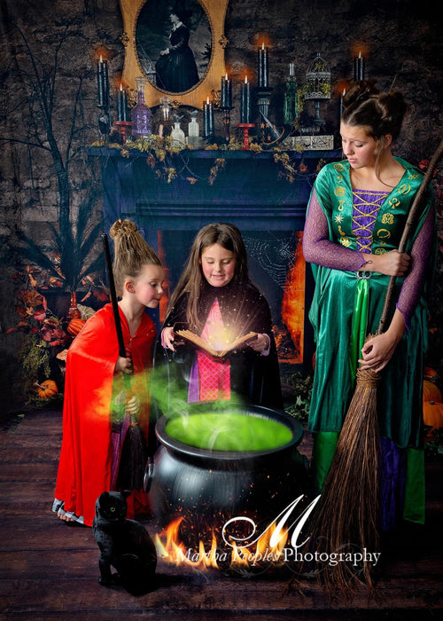 Broomstick Manor Fireplace and Broomstick Manor Potions