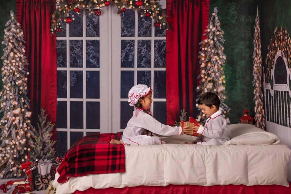 Classic Traditions Simple Queen Headboard and Doors Bundle