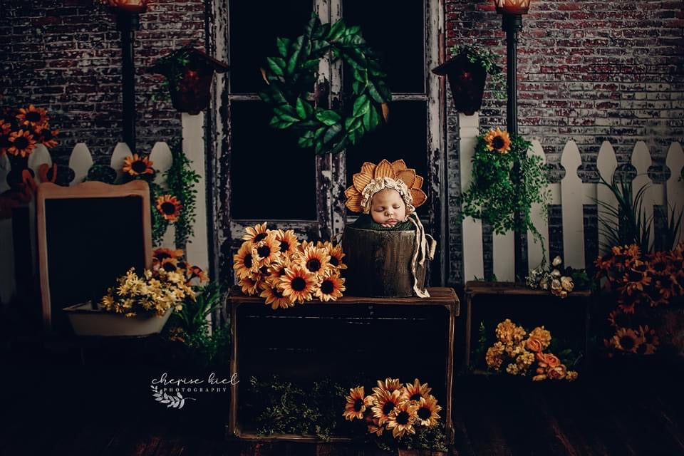 Urban Sunflower Shop