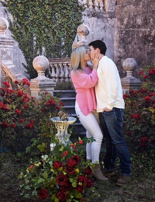 Welcome Rose Stairway (CC)