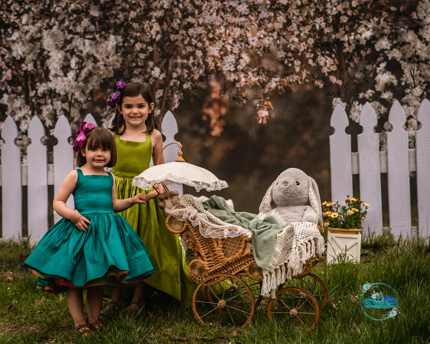 Spring Countryside Fence (JA)