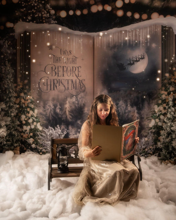 Once Upon a Christmas Santa (JA)