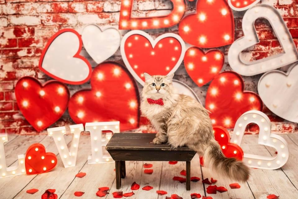 Stacked Romance Red and White