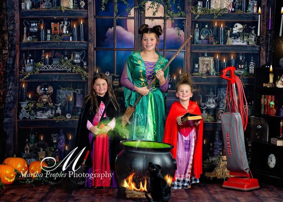 Broomstick Manor Fireplace and Broomstick Manor Potions