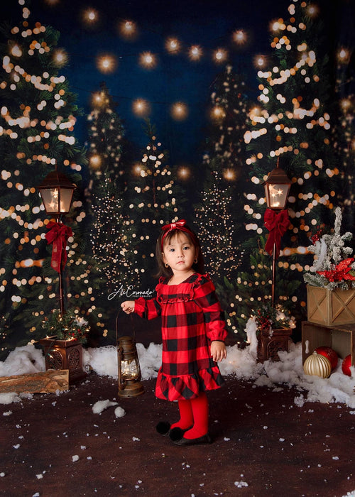 Tree Farm Eve Lights (Gritty) and Country Traditions Lights Room