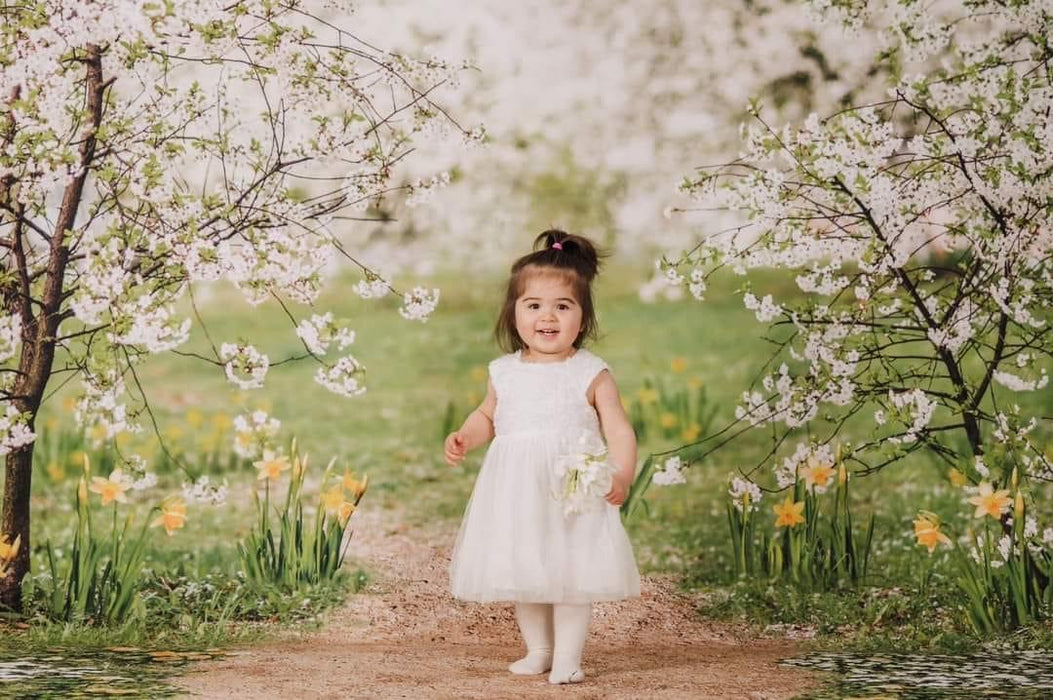 Sweeps Simple Spring Path (CC)