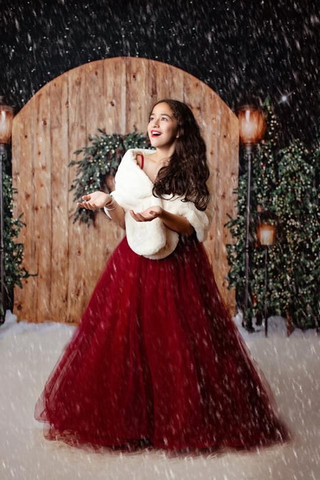 Rustic Christmas with Lights