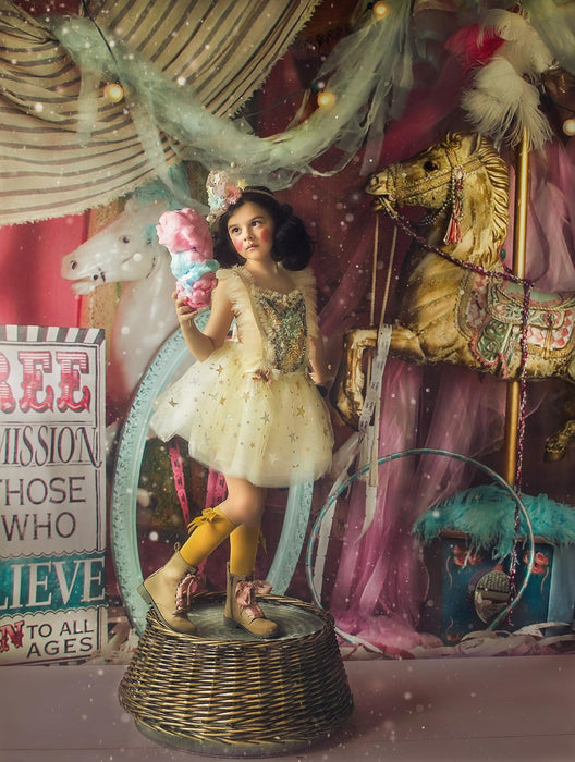 Vintage Carousel 2