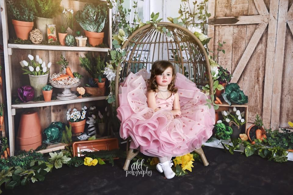 Garden Green House and Garden Green House Door